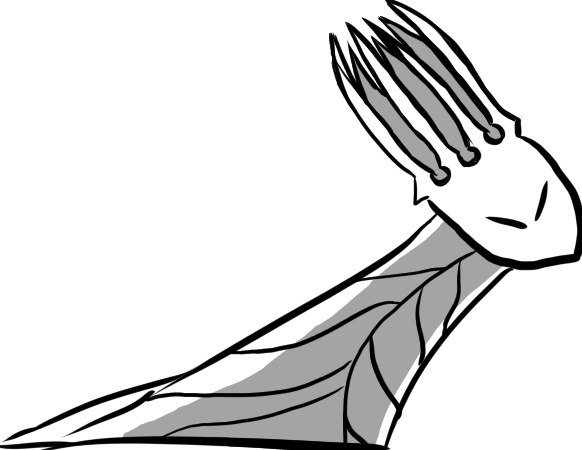 [A drawing of the Pale King from Hollow Knight running]